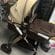 Carucior litle bird , cu suspensii , GRI 2in 1 transformabil landou-sport