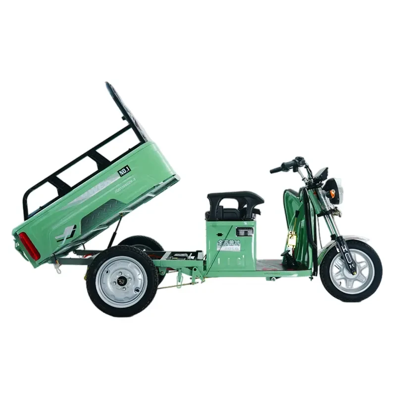 Triciclu Electric Cargo JRH 1200W – Limitat 22 km/h - imagine 3